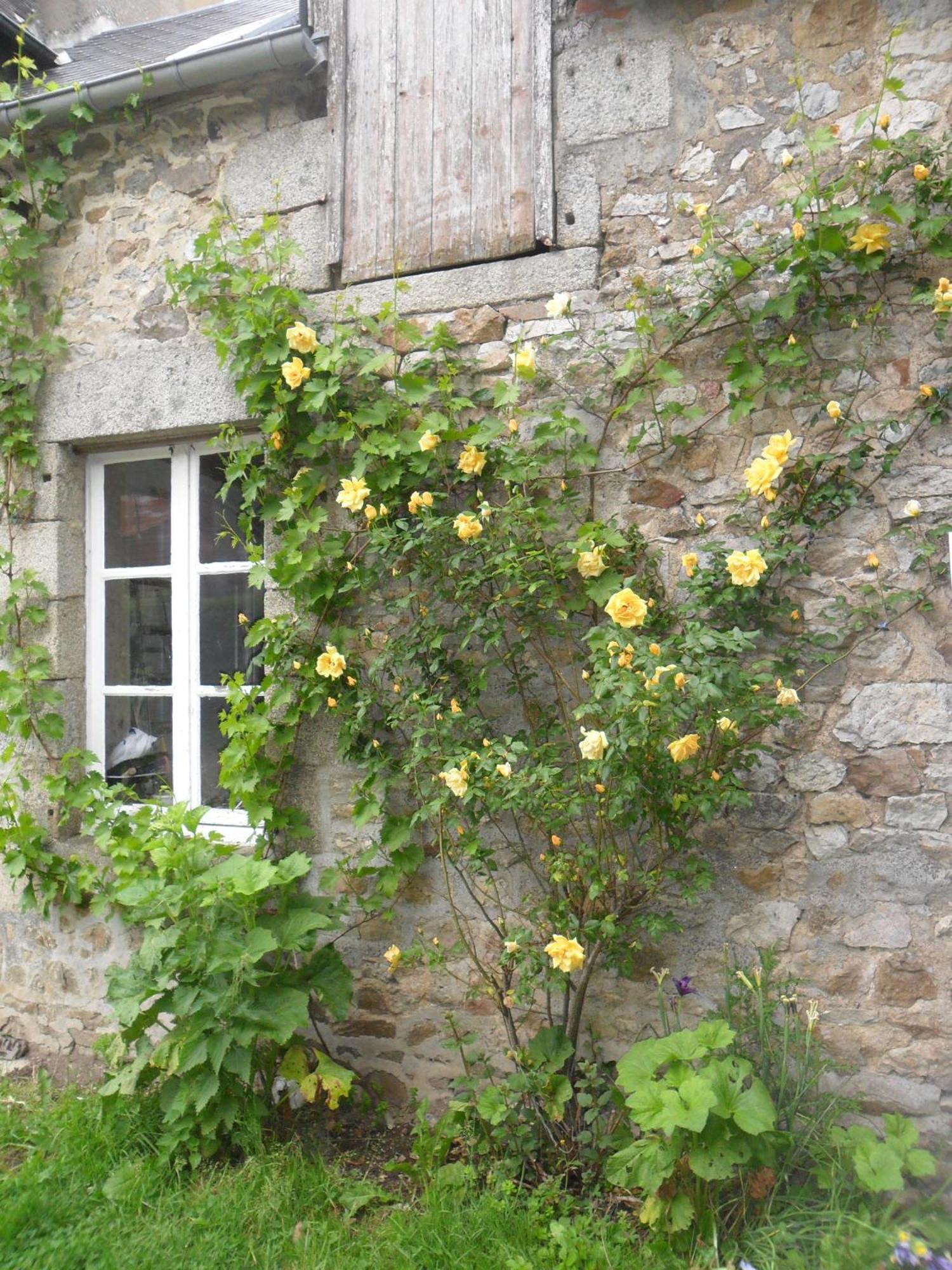 Les Hautes Loignieres Pre-en-Pail-Saint-Samson ภายนอก รูปภาพ